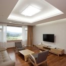 드라곤레이크CC 이미지