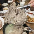 남부초등학교 | 대구 노포 맛집 박시웅의 8번식당 압도적 사이즈 갈비국밥 후기