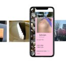 예술가들이 머무는 시선 이미지