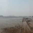 바위섬 민박 | 서해랑길90코스(90~~>91)