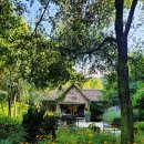 화악산가든 | 춘천 제이드가든 수목원 입장료, 주차, 카페 등 방문 후기