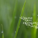 오포2동-4 이미지