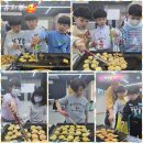 충효태권도호반