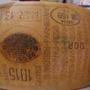 Top Dog PC 이미지