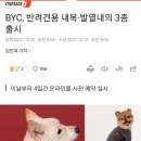 BYC, 반려견용 내복·발열내의 3종 출시 (개리야스) 이미지