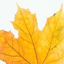 파밀리아스튜디오 이미지