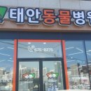 태안 동물병원 이미지