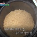 새싹보리밥 이미지