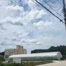 용순농장 | [익산/쌈밥] 익산 쌈밥맛집 우리맛황토쌈밥 내돈내산 후기