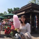 더조은투어 이미지