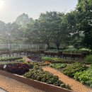 수원-1091 이미지