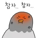 차성민과자점한마음점 이미지