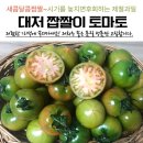 토마토 이미지