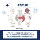 바른자세 Pt짐 네이버블로그