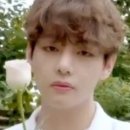 백장미댄스 이미지