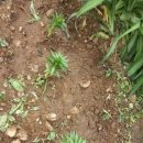 해뜬농장 이미지