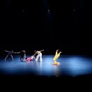 몸으로 그리는 예술, 현대무용의 세계 이미지