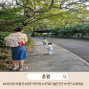 엄마가 미리 배우는 세계역사와 문화(세계여행) | 🚗 제주 세계자동차박물관·피아노박물관 방문기｜아이들과 즐긴 실내 체험코스 총정리