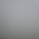 마리들농장 이미지