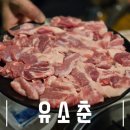 대전 종촌동 맛집_뒷고기가 맛있는 "유소춘"