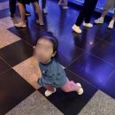 일 페이지 | 제주 아쿠아리움 아쿠아플라넷 할인도 받고 귤도받고 다녀온 후기