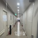 수원 한의원에서 침치료 후기