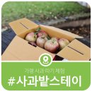 사과밭스테이 이미지