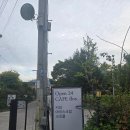 월호목장 | 🍦 하남 FLOS(플로스) 카페 방문 후기상하목장 아이스크림의 진한 풍미가 살아있는 감성 카페