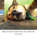 셀카 이미지