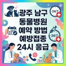 광주응급환자이송단 | 광주 남구 동물병원 예약 방법 예방접종 24시 응급 바로가기
