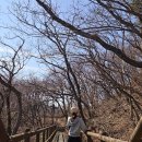 GR(완주군)-[구이로]-하-28 | 전북 김제 모악산 금산사코스 산행후기(주차정보,인기 등산코스, 포토스팟)