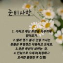 데이지화장품