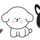 다인그래픽 이미지
