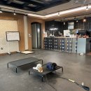 드림애견학교 이미지