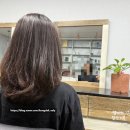 청학동미용실 태후사랑속초1호점 탈모두피관리