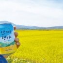 호피홀리데이 이미지