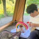 등촌 샤브 칼국수 고령점 | [기록]-경북 고령 애견전용캠핑장/트리독스 220827(캐빈하우스EX 첫 피칭)