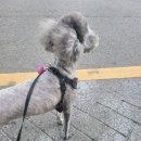 삼광사료 이미지