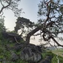 빗접바위 이미지