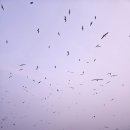 🌊 대부도 가을 기록 꺼내보기! 시화나래 휴게소 달전망대 다녀온 솔직 후기