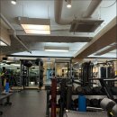 파프짐 도곡점 이미지