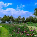 천문공원 이미지