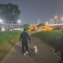 루비밤 | 울산 태화강 국가정원 밤산책, 강아지 루비랑 다녀온 코스 후기 (feat. 하트나무)