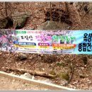 4월 7~8일 열리는전북 모악산진달래화전축제의 한마당 이미지