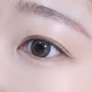 하파크리스틴 파르나스몰점(코엑스) 이미지