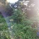 선현농장 이미지