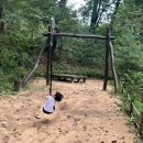 광명푸른숲어린이집 | 광명 도덕산 유아숲체험장 후기 | 숲속놀이터·짚라인 있는 아이 체험 명소