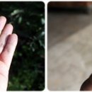 마치농장 이미지