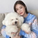 재인엔터테인먼트 이미지