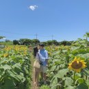 이호농장 이미지